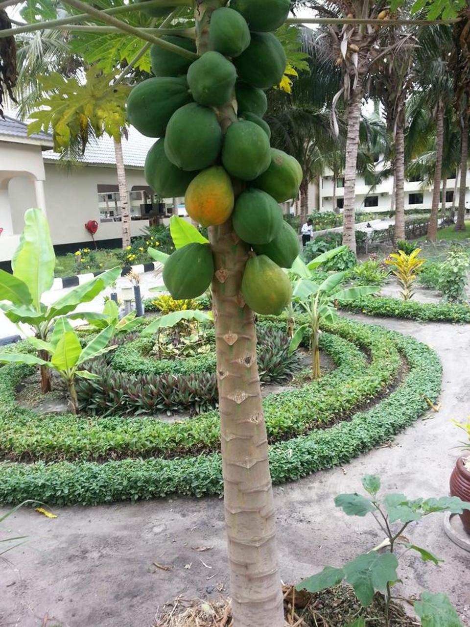 Oceanic Bay Hotel & Resort Bagamoyo Ngoại thất bức ảnh