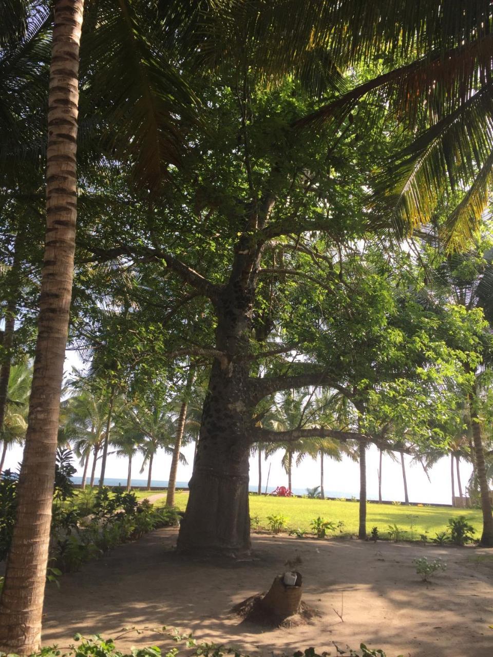 Oceanic Bay Hotel & Resort Bagamoyo Ngoại thất bức ảnh